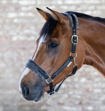 Pferdehalfter Waldhausen Elegant weich mit Glitzersteinen schwarz Pony VB WB