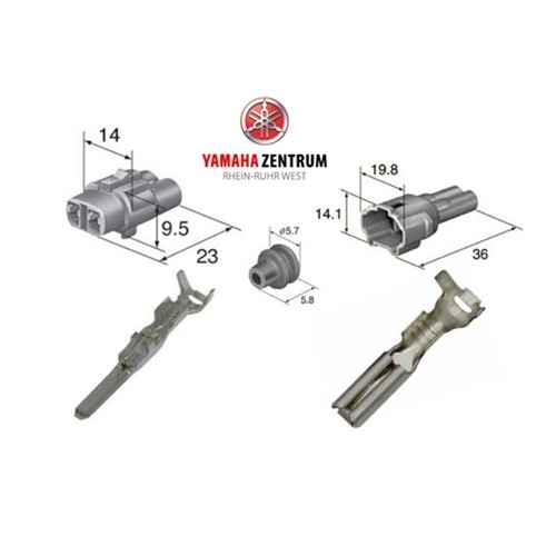 Stecker für den