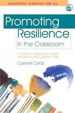 Promoting Resilience in the