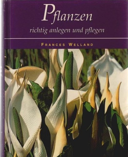 Pflanzen richtig anlegen - , und
