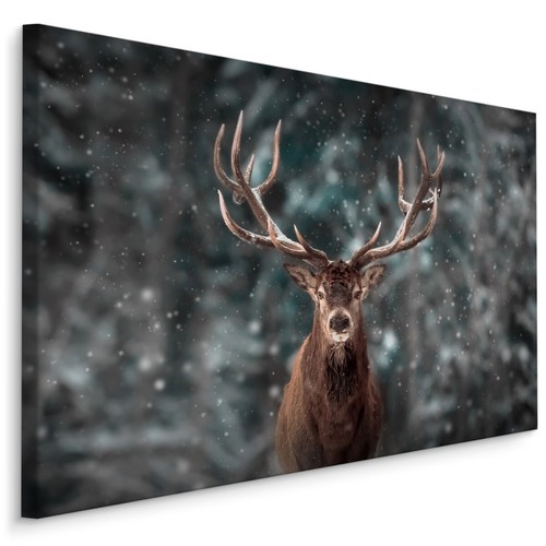 Canvas leinwand bilder xxl - bilder,