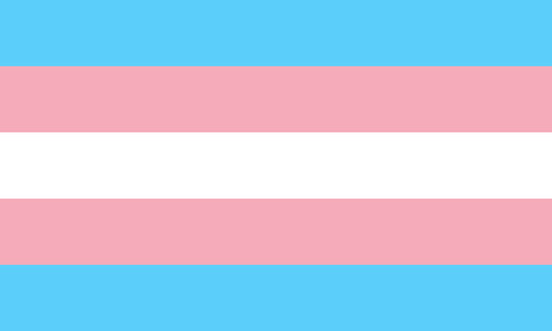 Transgender bootsfahne - ,