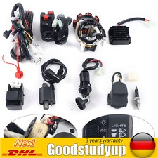 Komplette Elektro Kabelbaum