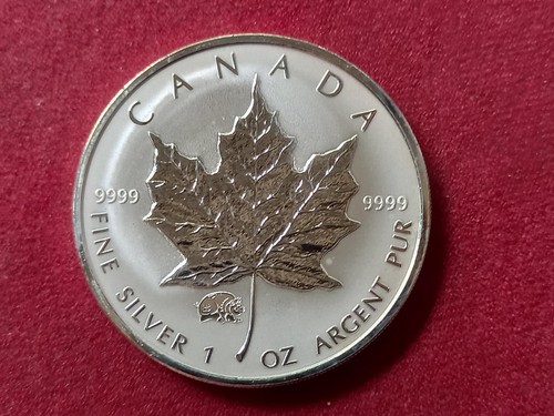 Kanada dollars 2007 maple - 5,
