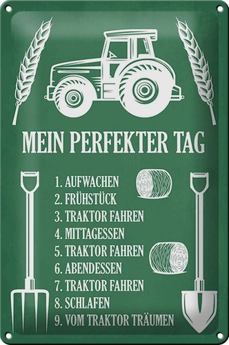 Blechschild spruch 20x30cm - spruch,