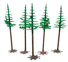 5 Stück Tannen hochstämmig