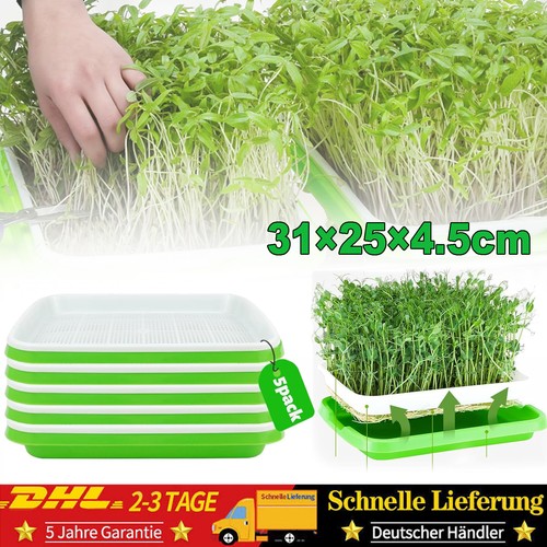 Stück kresse anzuchtschalen - 5,