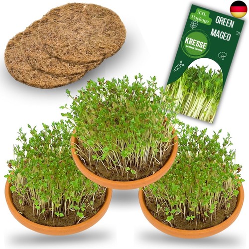 Kresse anzuchtset 3 - kresse,