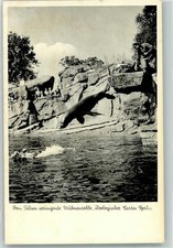 39626608 1000 berlin - 39626608,