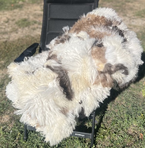 Xxl merino lammfelldecke - merino, ca