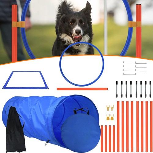 Hunde agility sprung - agility, set