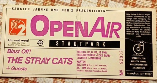The stray cats - cats,