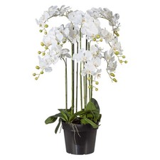 Künstliche orchidee 110cm - künstliche,