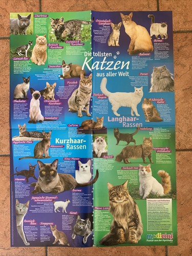 Wissensposter von medizini - wissensposter,