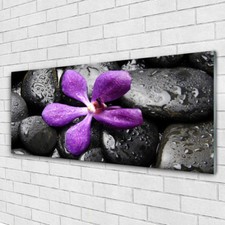 Glasbilder wandbild druck auf - glasbilder,