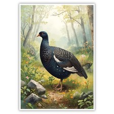 Birkwild A4 Kunstdruck Poster