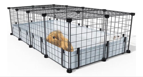 Meerschweinchen käfig mit - meerschweinchen,