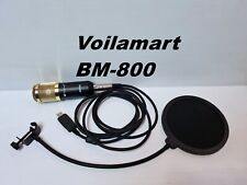 Bm-800 Mikrofon Studioaufnahme