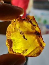 Bernstein Ostsee 11.73 Gramm