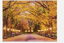 LED Wandbild Herbstweg  40 x 30 cm