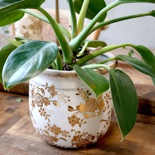 65099513Chic Antique Melun