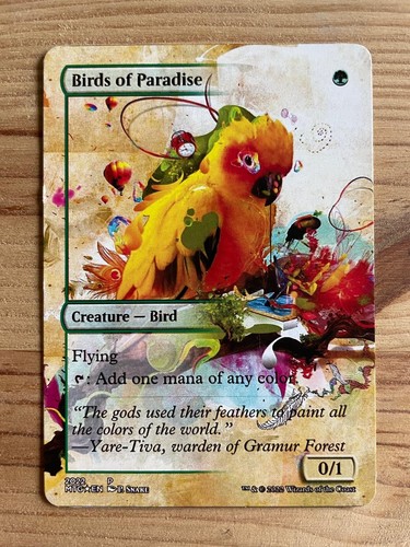 Birds paradise proxy - birds,