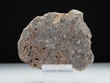 Achat, Kiesgrube Alperstedt