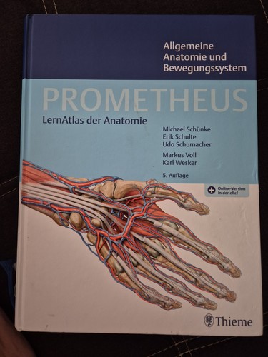 Prometheus allgemeine anatomie - prometheus,