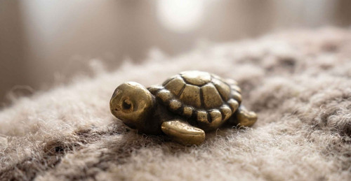 Kleine messing schildkröte - messing,