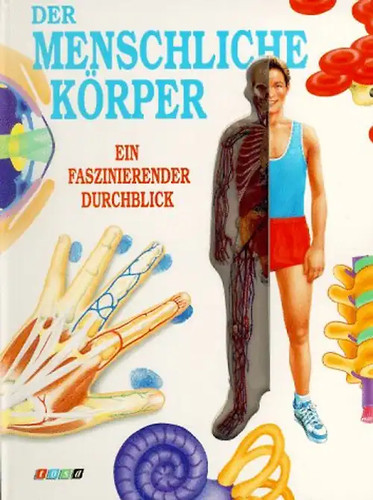 Der menschliche körper mit - der,
