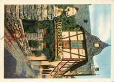 AK: Der Drosselhof, das Bekannte Rudesheimer Welnhaus mit Seinem Hauslied