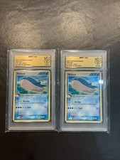 Wailord 14/109 EX Rubin &