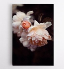 Blume Wandbilder Wilde Blumen