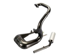 Auspuff Polini Sport mit