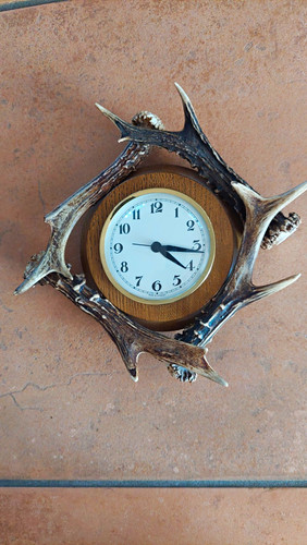 Holz geweih jagduhr - holz-geweih,