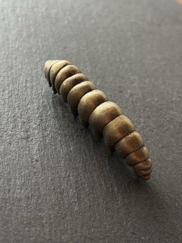 Raupe aus messing - aus,