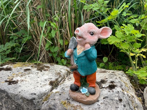 Schwein gartenschwein mit - gartenschwein,