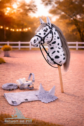 Hobby horse - hobby,