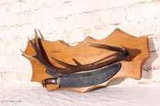 EINZELSTÜCK! Schöne Jagd