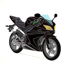 Lackierte Verkleidungteile 18 Stück-Set für Yamaha YZF-R125 08-13 Schwaz/Schwarz