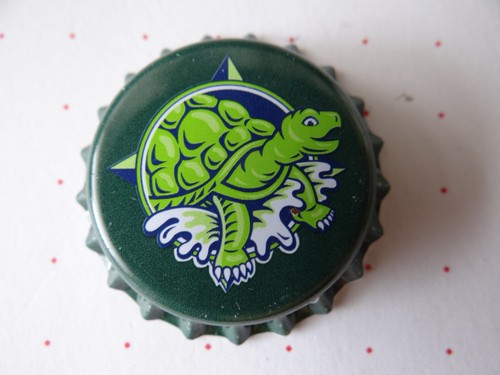 Schildkröte terrapin - 1, kk