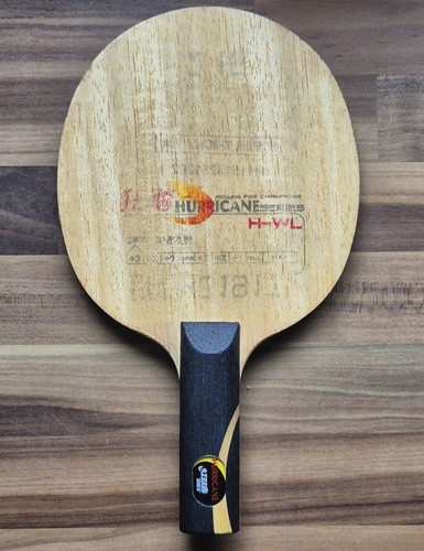 Dhs hurricane wang liqin - dhs,
