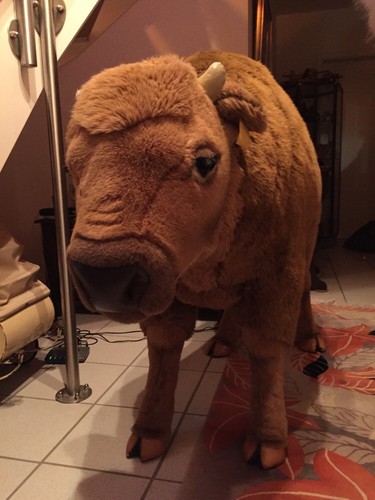 Imposanter steiff studio - steiff, jung