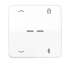 Jung CD1751PBTWW Timer Universal Bluetooth - Pfeile (Duroplast) Alpinweiß 