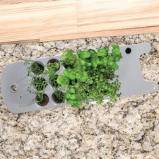 AeroGarden Anzuchtset Seed