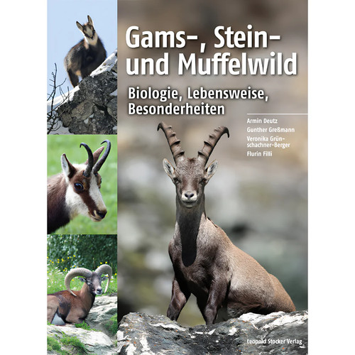 Gams stein und muffelwild - stein-,