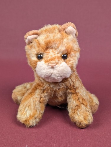 Rote katze kater whiskers russ - katze,