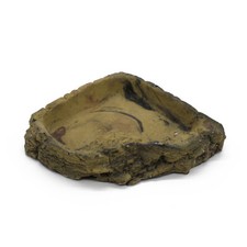 Terrarium Reptilien Eck-Schale