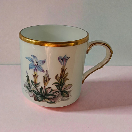 Royal worcester fine bone - worcester,