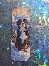 BERNER SENNENHUND --